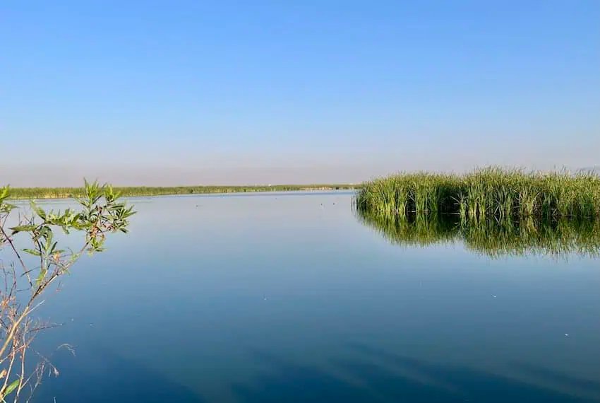 UNESCO designa el primer sitio de ecohidrología en México