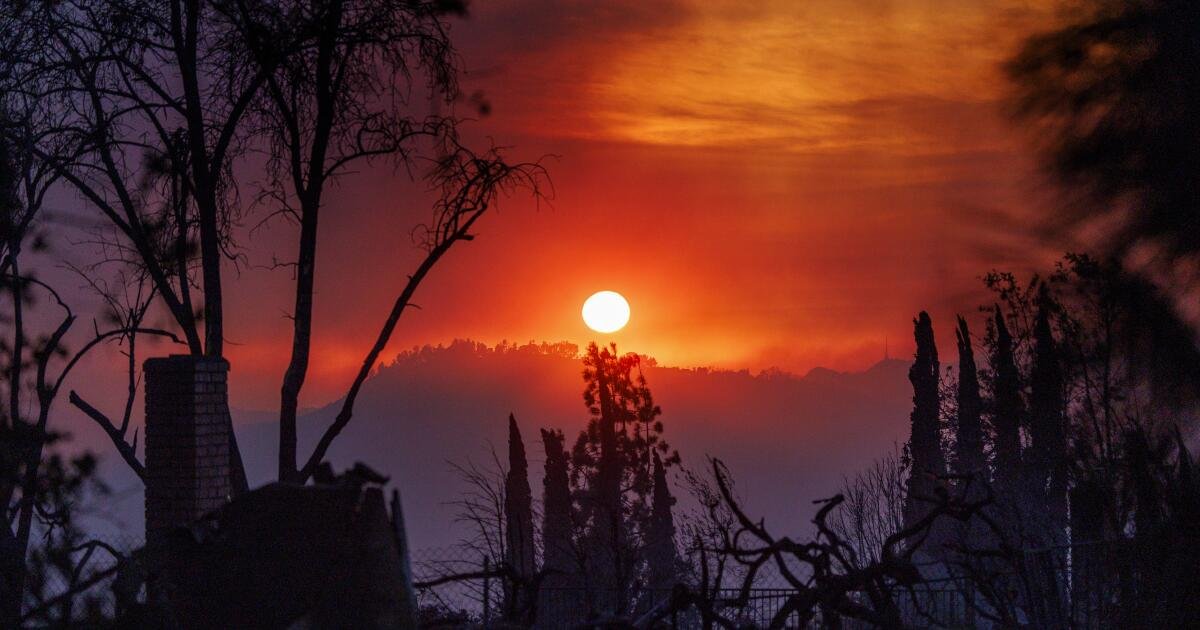 Los agricultores anuncian una pérdida inicial de $ 600 millones para incendios de Los Ángeles