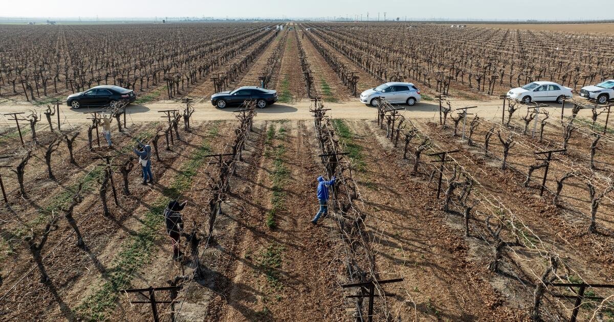 La redada de inmigración del condado de Kern ofrece una visión de la nueva realidad para los trabajadores agrícolas de California