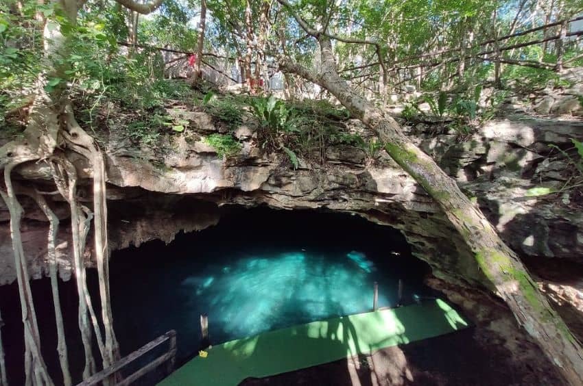 Fósiles gigantes de perezosos y caballos que se encuentran bajo cenote en Yucatán