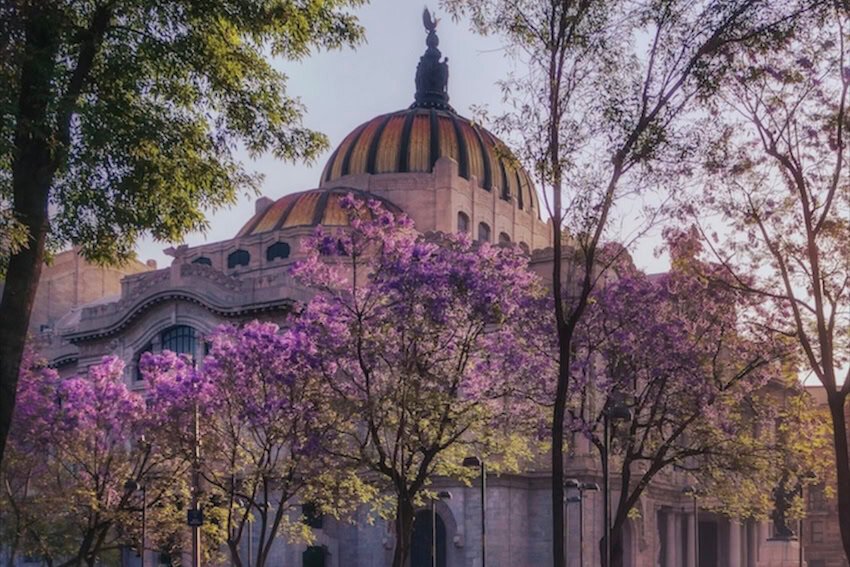 Los mejores planes de estadía en la Ciudad de México esta primavera