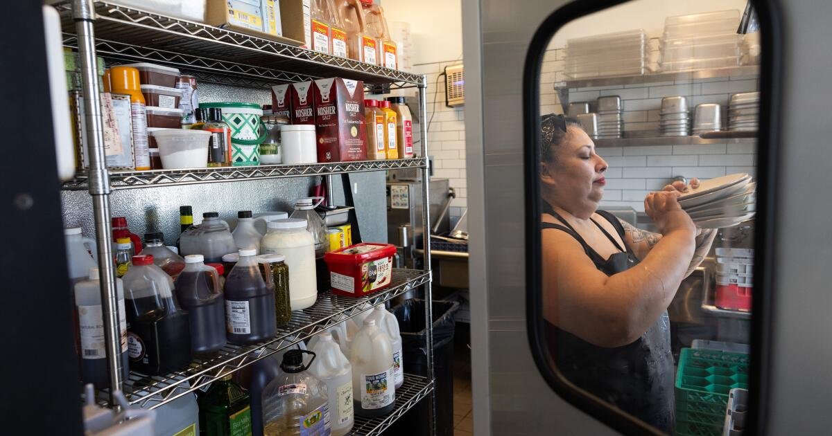 ¿Odias hacer platos? Este lavavajillas de restaurante limpia 500 por turno y dice que es su terapia