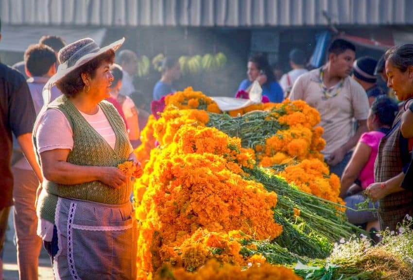 9 Datos curiosos sobre Mercado Jamaica de la Ciudad de México