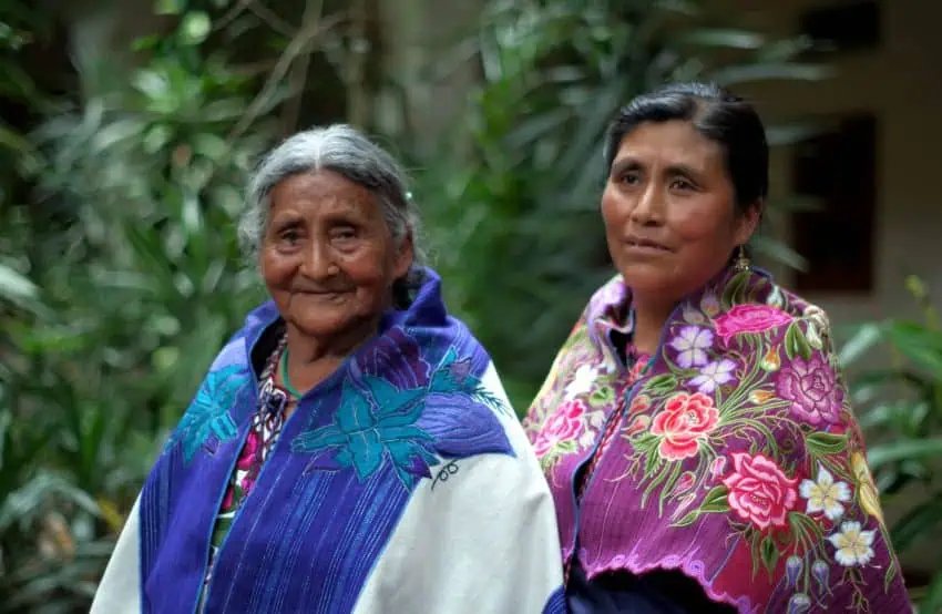 Chiapas parteras denuncia leyes que limitan el acceso a los certificados de nacimiento