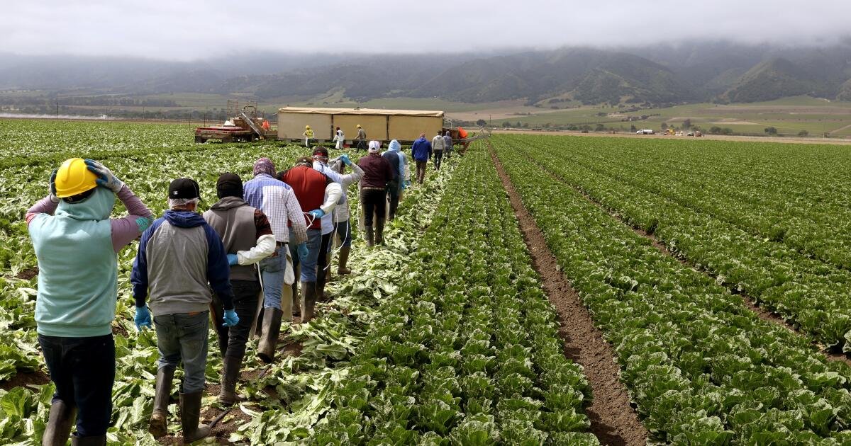 En la 'ensalada' de Estados Unidos, los agricultores invierten en viviendas de trabajadores invitados, con la esperanza de estabilizar la fuerza laboral