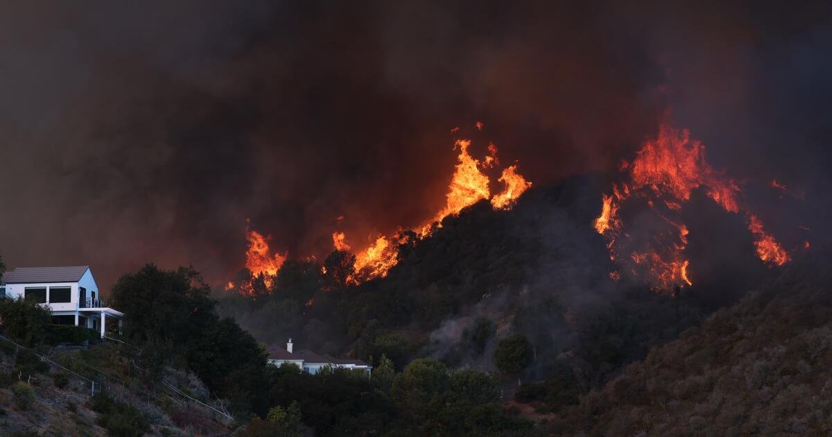 El comisionado de seguros señala la posible investigación sobre el manejo de State Farm de los reclamos de incendios forestales de Los Ángeles