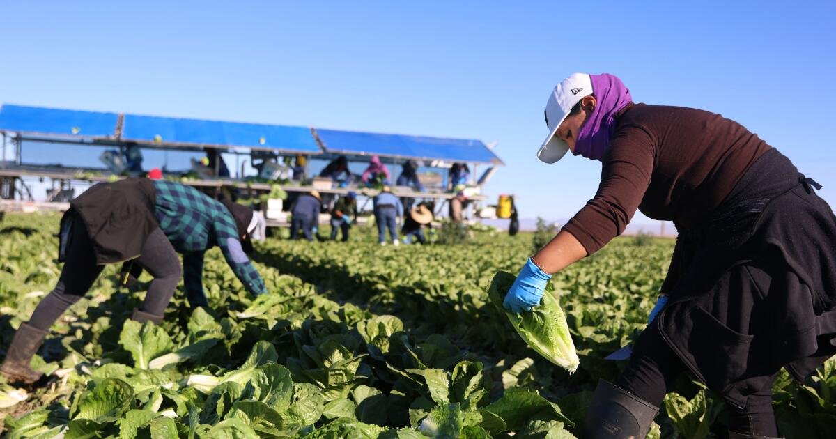 La economía de la granja estadounidense está comenzando a ver los primeros éxitos de los aranceles de Trump