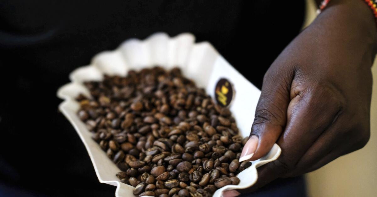 En Uganda que produce café, una hermandad emergente quiere más mujeres involucradas