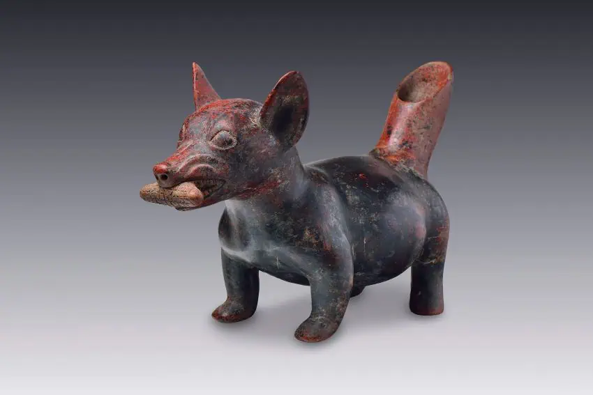 Los 10 museos más geniales de Puebla (y dónde encontrarlos)
