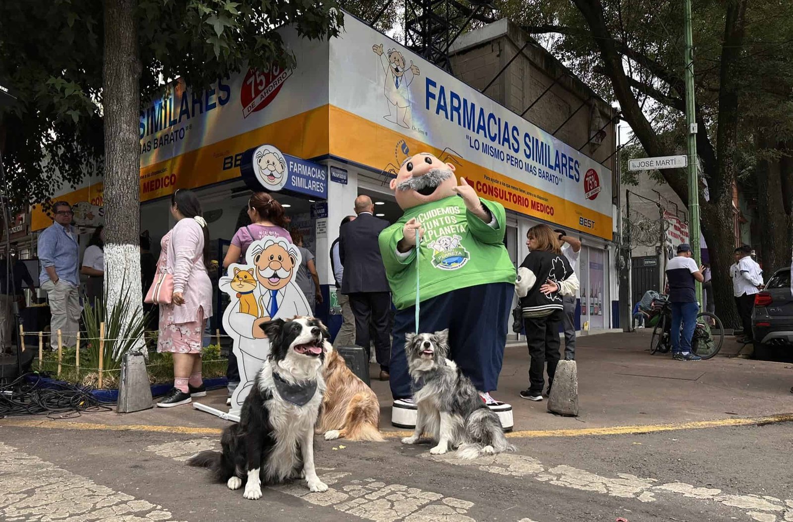 Noticias de Pawsome: el Dr. Simi lanza una atención veterinaria económica en México