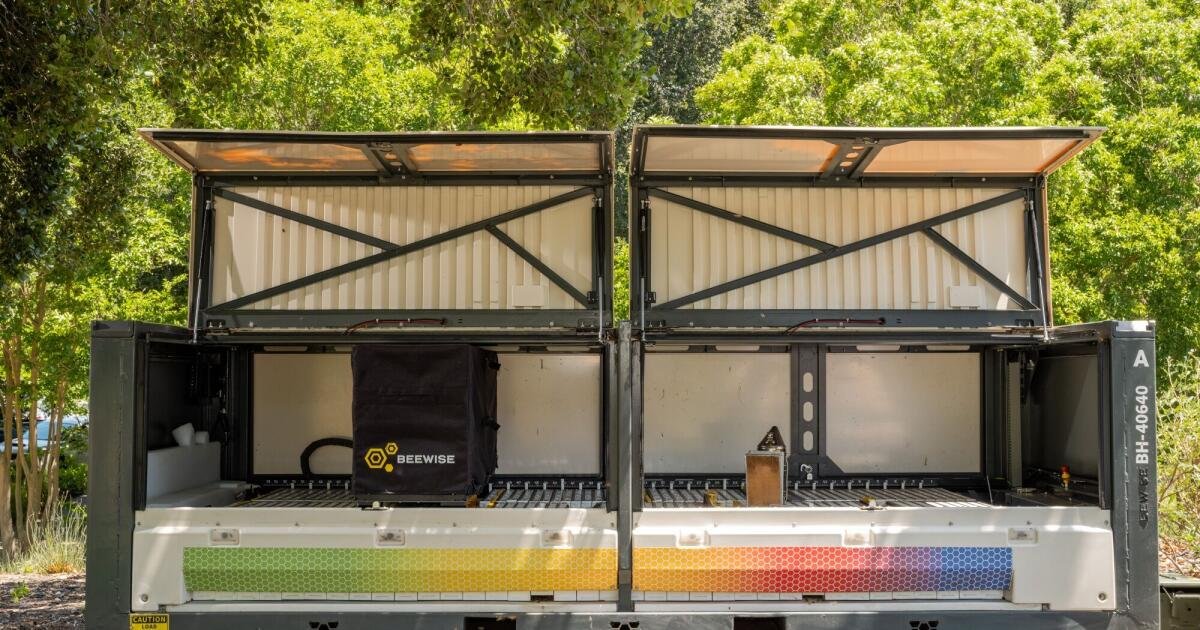 Cómo AI y Robot Hives están bajando el riesgo de colapso de colonias de abejas en California