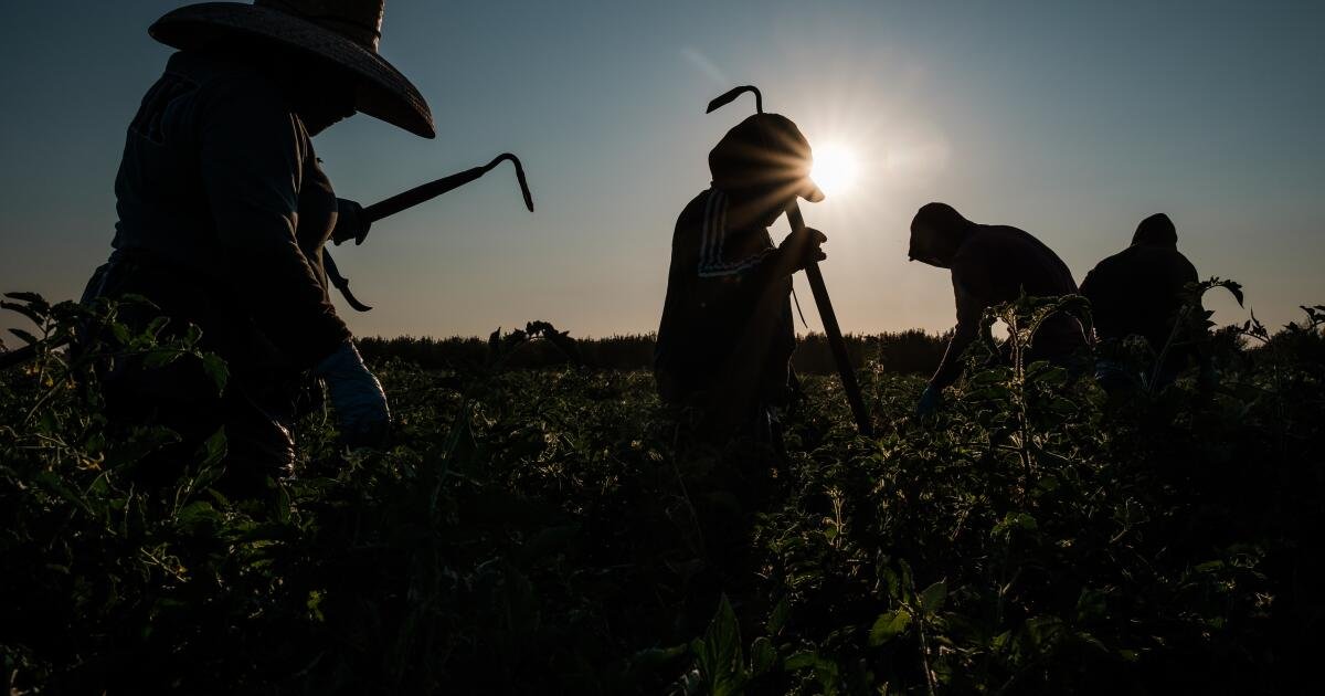 ICE expande las redadas de inmigración al corazón agrícola de California