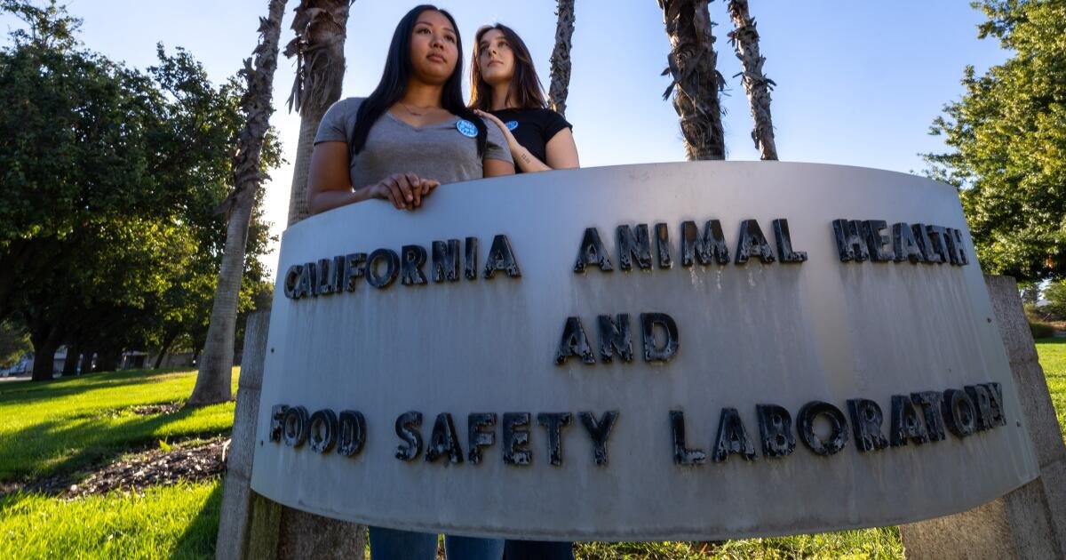 Union presiona el laboratorio de pruebas de gripe aviar de california para registros para registros