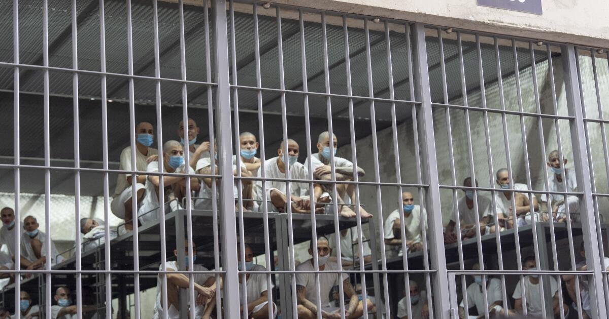 ¿Por qué ‘monstrificar’? Mire quién se beneficia cuando pocos se consideran completamente humanos