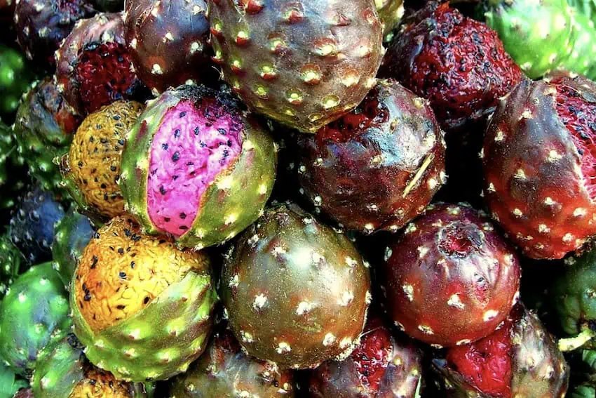 Fruta extraña: las golosinas naturales extrañas y maravillosas de México