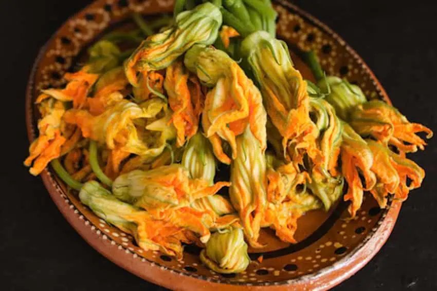 Taste of Mexico: Flor de Calabaza