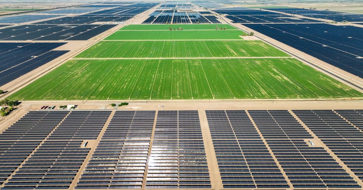 California necesita un poco menos de tierras de cultivo, mucha más energía solar