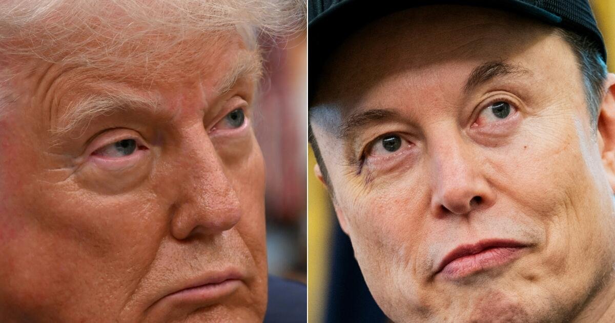 Elon Musk aprende que los matones no son tus amigos. ¿Ahora que?