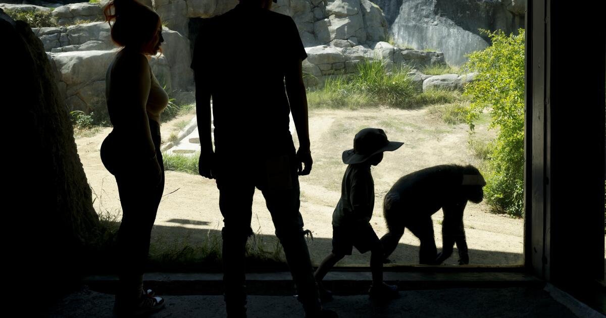 Dentro de la desordenada ruptura de $ 50 millones del zoológico de Los Ángeles