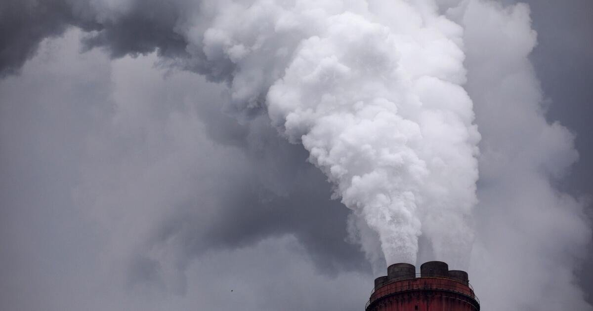 Los auditores fallan en el papel de salvaguardar las compensaciones de carbono