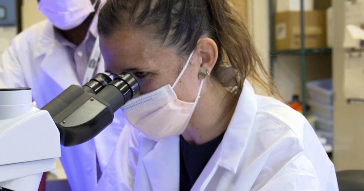 Los recortes presupuestarios de NIH amenazan el futuro de la investigación biomédica, y los jóvenes científicos detrás de él