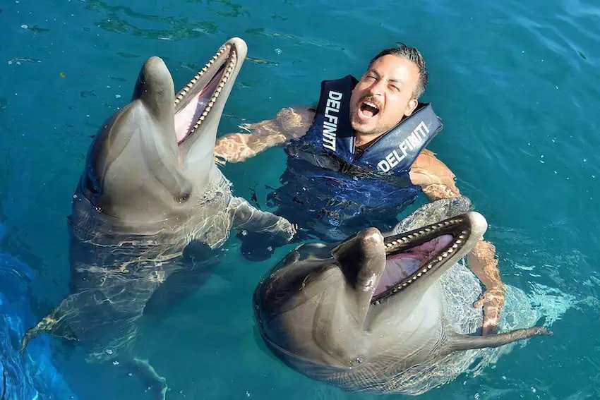 ¿Qué fue una visita a uno de los espectáculos de delfines prohibidos de México?