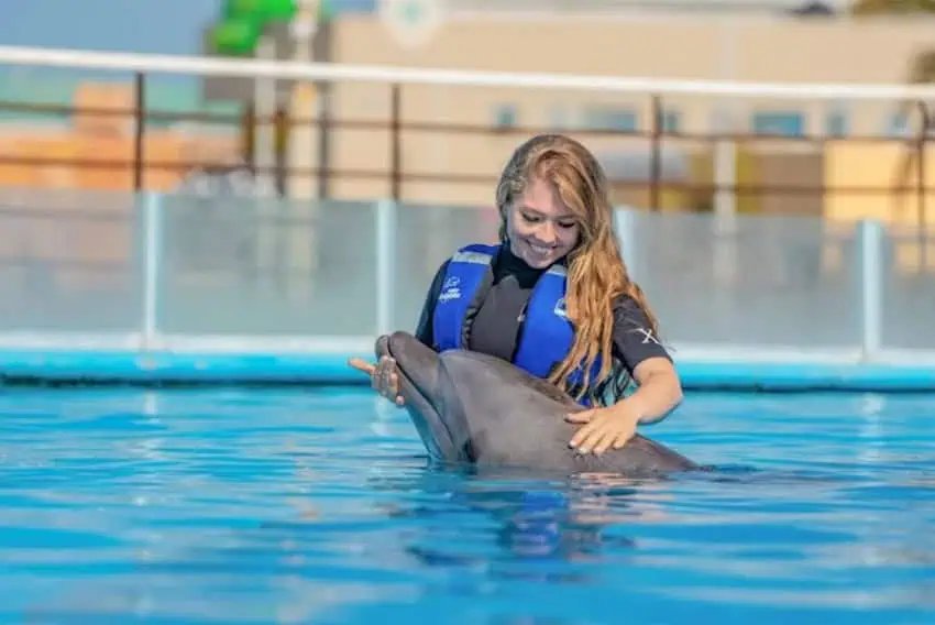 Experiencias de ley de Mincho y delfines en Los Cabos