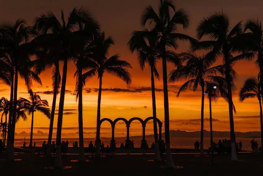 MND Local: Puerto Vallarta August News Roundup