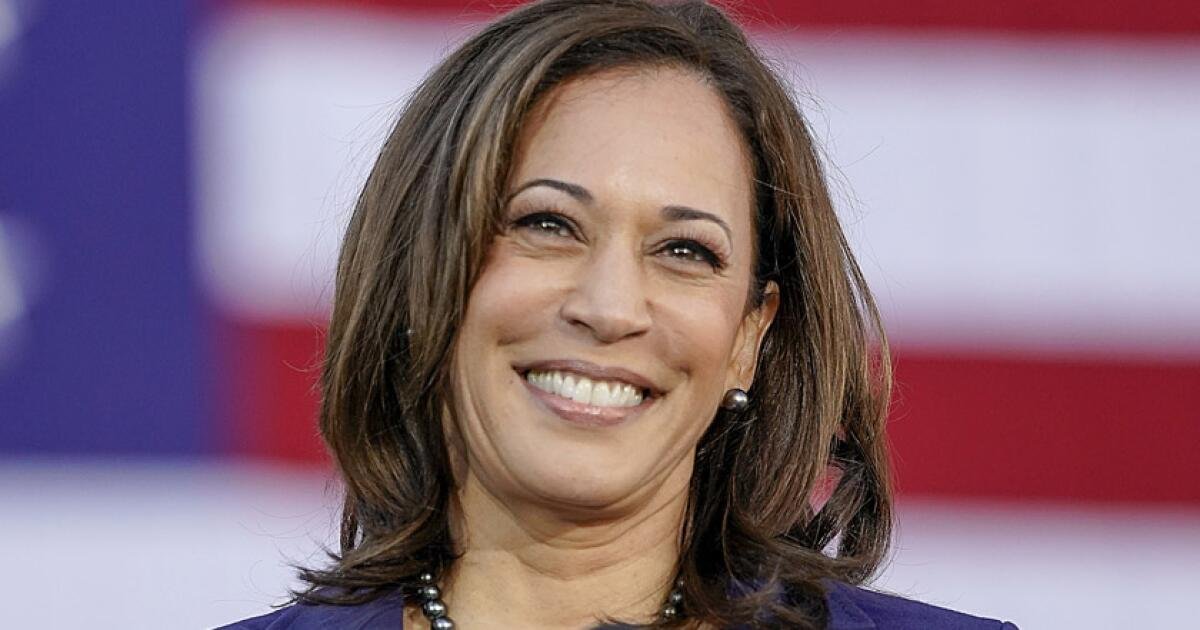 Kamala Harris no curará lo que ailea el Partido Demócrata