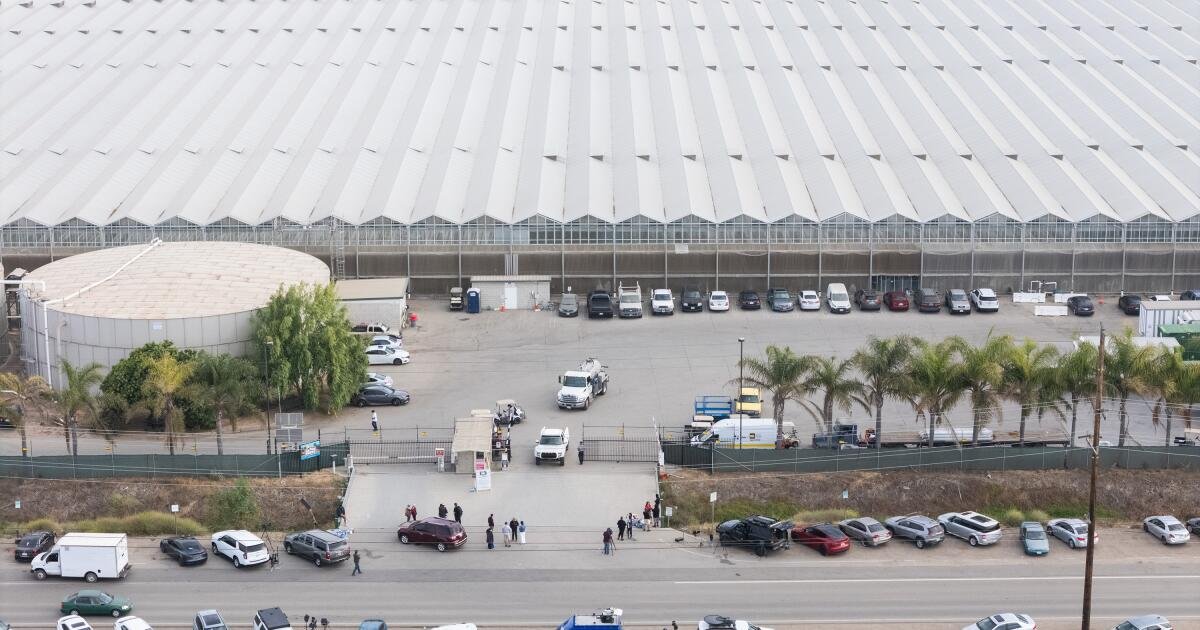 La firma de cannabis de California allanada por el hielo revela grandes cambios laborales para evitar una repetición