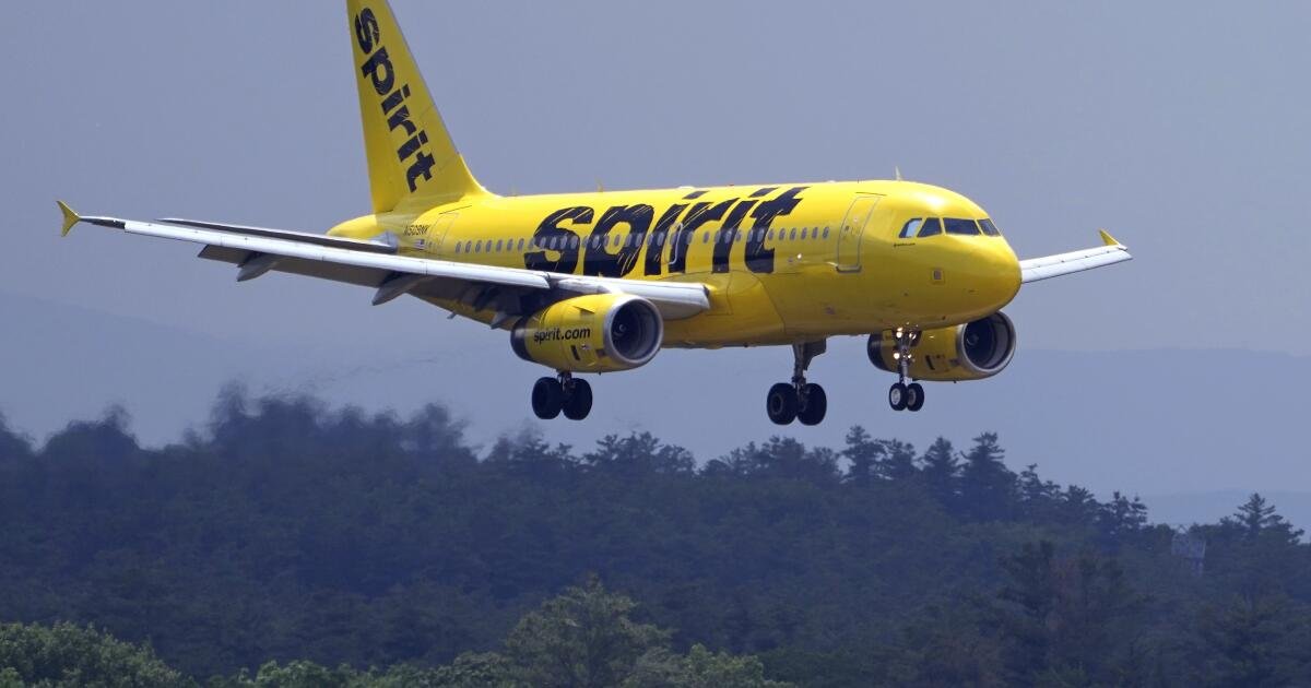 Spirit Airlines a licencia de casi 2,000 azafatas