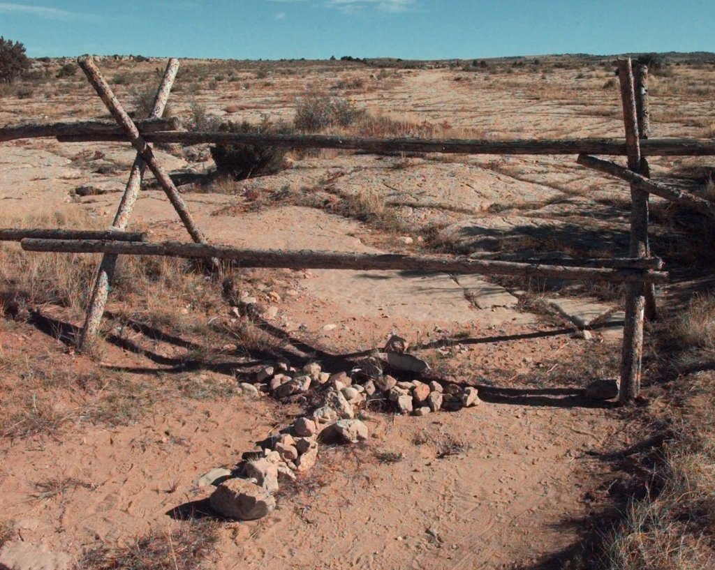 Hoy en la historia: 7 de octubre, Matthew Shepard golpeado y se fue atado a un Wyoming FencePost