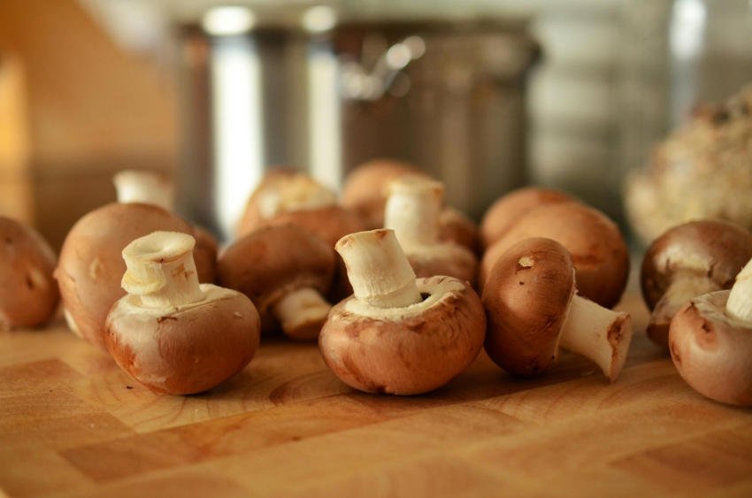 Taste of México: hongos