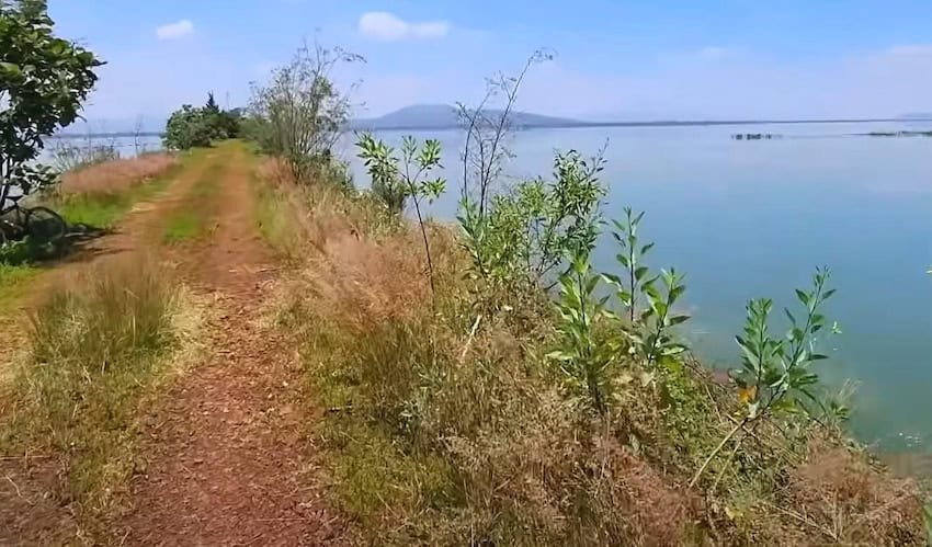 Continúa la recuperación del lago de Texcoco con más de 4.000 hectáreas bajo el agua
