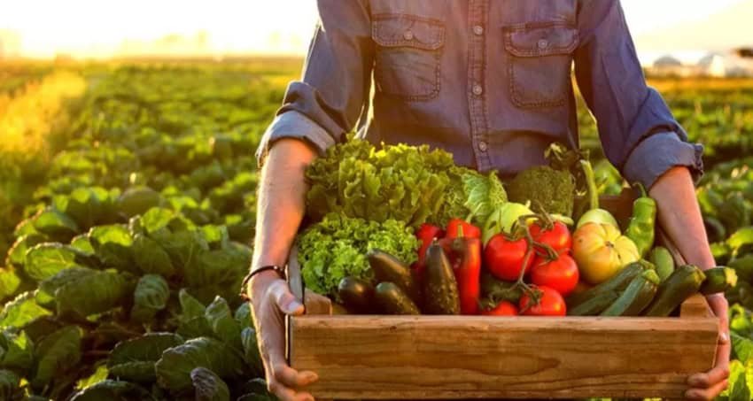 Farmer with a box full of fruits and vegetables