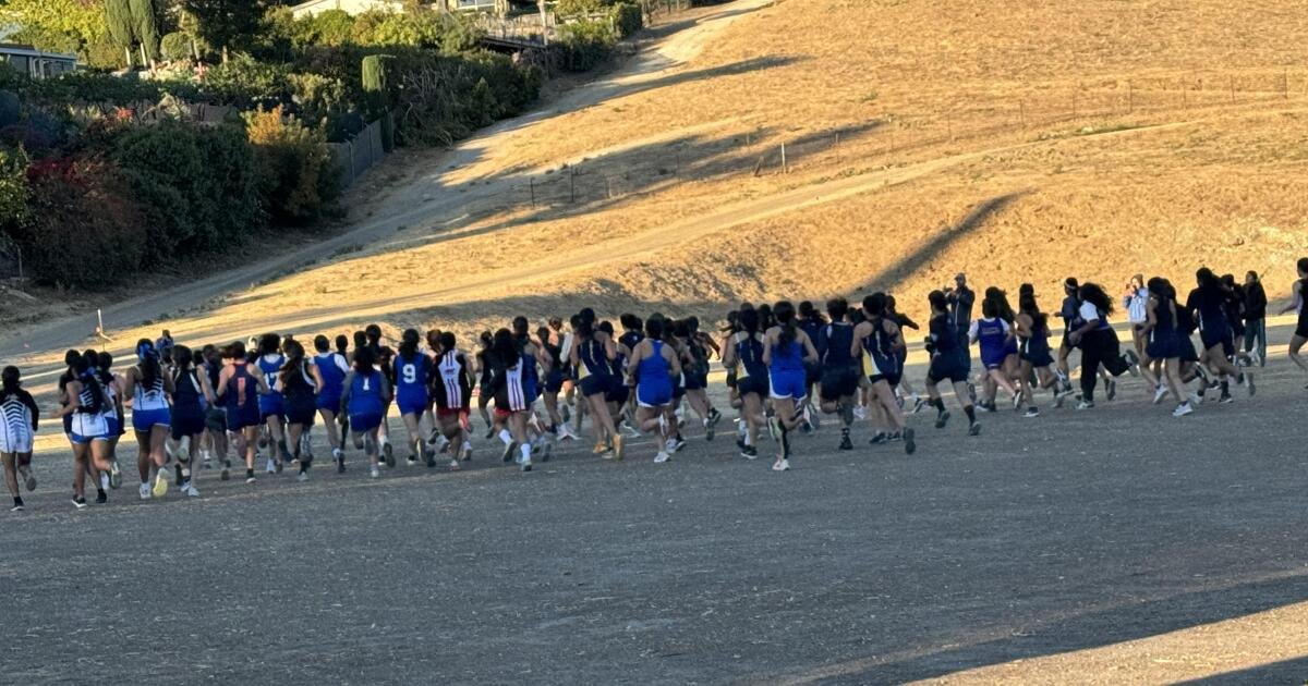 Los corredores de fondo recordaron los peligros de entrenar en las calles del sur de California